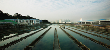 兩會(huì)聲音：城市“新洼地”之痛 如何補(bǔ)齊城市地下管網(wǎng)短板？